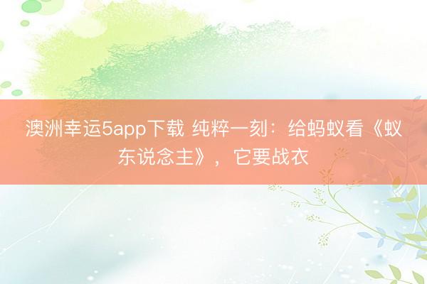 澳洲幸运5app下载 纯粹一刻：给蚂蚁看《蚁东说念主》，它要战衣