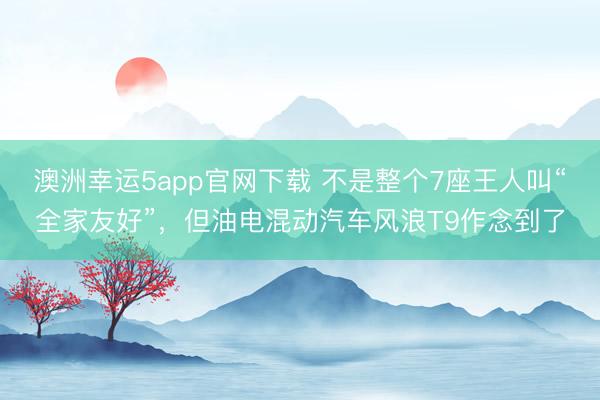 澳洲幸运5app官网下载 不是整个7座王人叫“全家友好”,但油电混动汽车风浪T9作念到了
