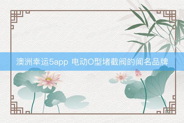 澳洲幸运5app 电动O型堵截阀的闻名品牌