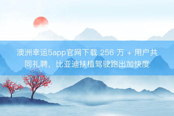 澳洲幸运5app官网下载 256 万 + 用户共同礼聘,比亚迪扶植驾驶跑出加快度