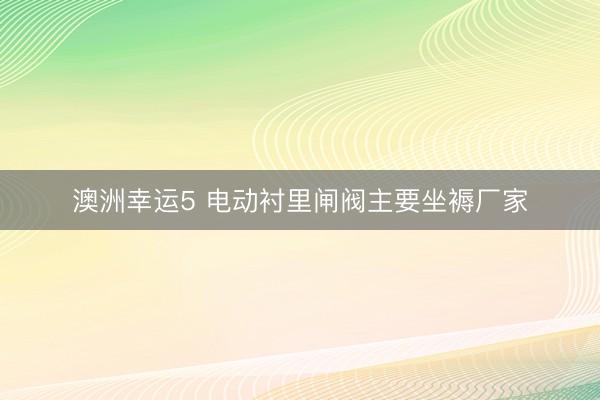 澳洲幸运5 电动衬里闸阀主要坐褥厂家