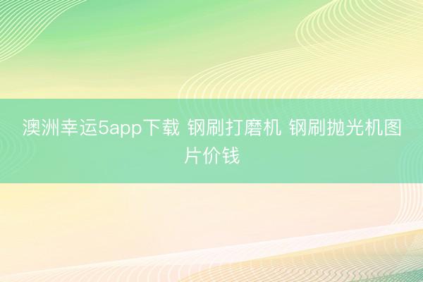 澳洲幸运5app下载 钢刷打磨机 钢刷抛光机图片价钱