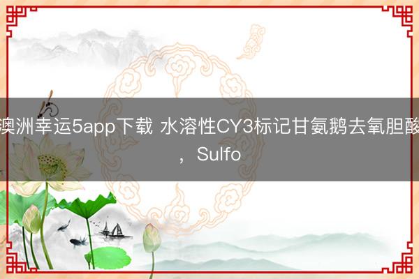 澳洲幸运5app下载 水溶性CY3标记甘氨鹅去氧胆酸,Sulfo