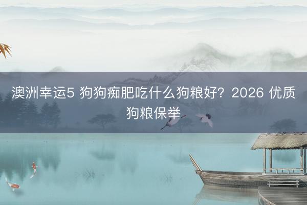 澳洲幸运5 狗狗痴肥吃什么狗粮好？2026 优质狗粮保举
