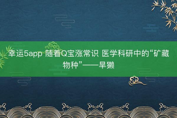 幸运5app 随着Q宝涨常识 医学科研中的“矿藏物种”——旱獭