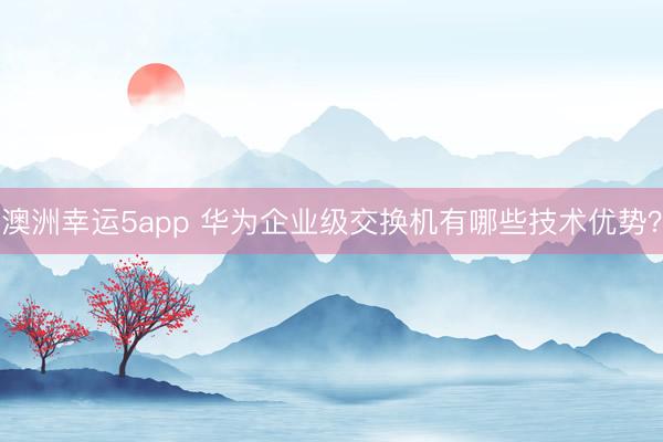 澳洲幸运5app 华为企业级交换机有哪些技术优势?