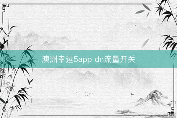 澳洲幸运5app dn流量开关