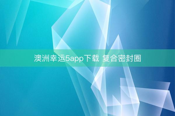 澳洲幸运5app下载 复合密封圈