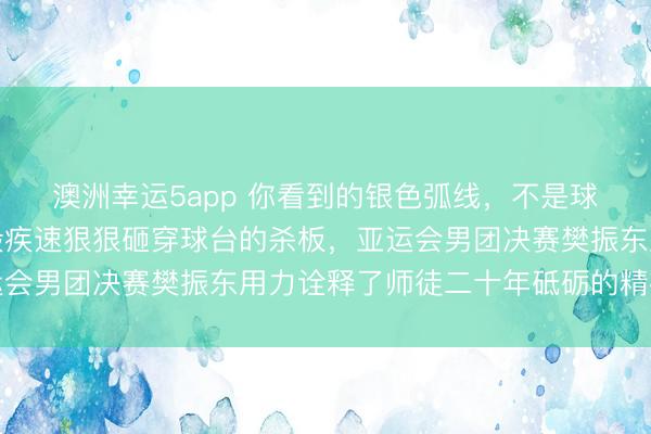 澳洲幸运5app 你看到的银色弧线，不是球拍划出的，而是子弹般疾速狠狠砸穿球台的杀板，亚运会男团决赛樊振东用力诠释了师徒二十年砥砺的精神传承