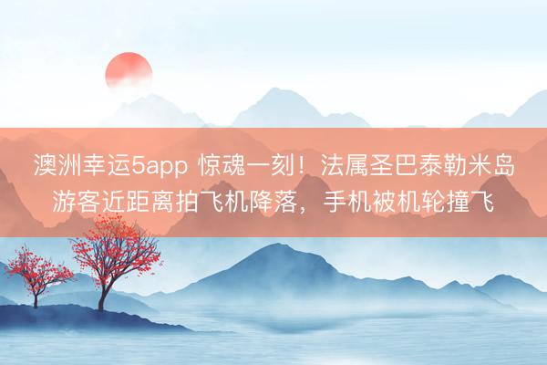 澳洲幸运5app 惊魂一刻!法属圣巴泰勒米岛游客近距离拍飞机降落,手机被机轮撞飞