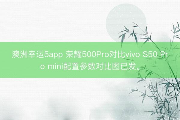澳洲幸运5app 荣耀500Pro对比vivo S50 Pro mini配置参数对比图已发。
