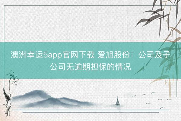 澳洲幸运5app官网下载 爱旭股份：公司及子公司无逾期担保的情况