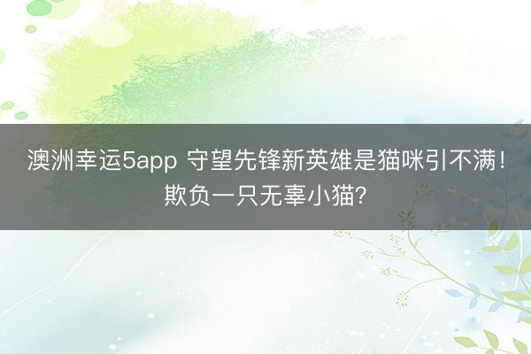 澳洲幸运5app 守望先锋新英雄是猫咪引不满!欺负一只无辜小猫?