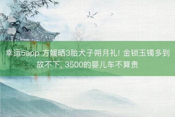 幸运5app 方媛晒3胎犬子朔月礼! 金锁玉镯多到放不下， 3500的婴儿车不算贵