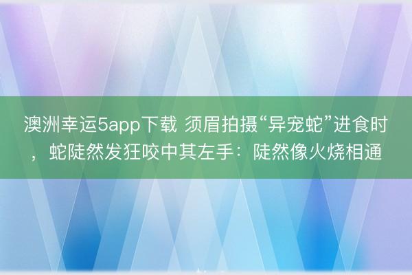 澳洲幸运5app下载 须眉拍摄“异宠蛇”进食时,蛇陡然发狂咬中其左手:陡然像火烧相通