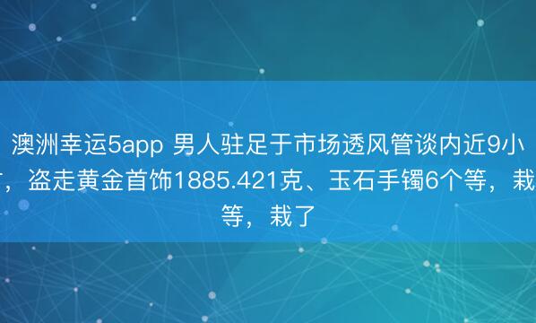澳洲幸运5app 男人驻足于市场透风管谈内近9小时，盗走黄金首饰1885.421克、玉石手镯6个等，栽了