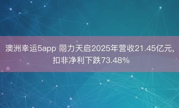 澳洲幸运5app 同力天启2025年营收21.45亿元， 扣非净利下跌73.48%