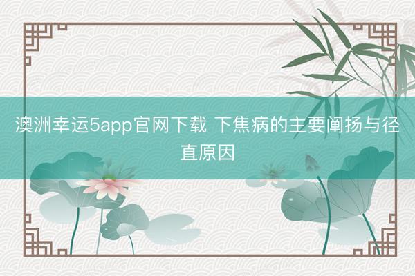 澳洲幸运5app官网下载 下焦病的主要阐扬与径直原因